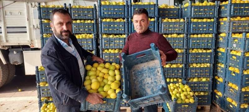 Plastik kasanın fiyatı, içindeki limonu geçti